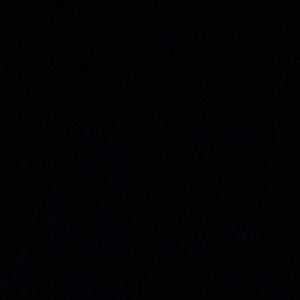 Meet your Posher, Deauna